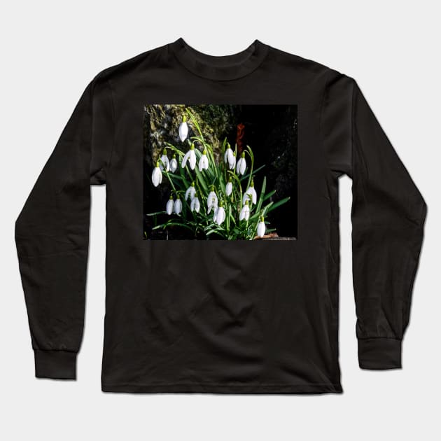 Snowdrop display Long Sleeve T-Shirt by jalfc46